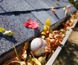 Prepare Your Roof for Fall - Seasonal Transition Tips!